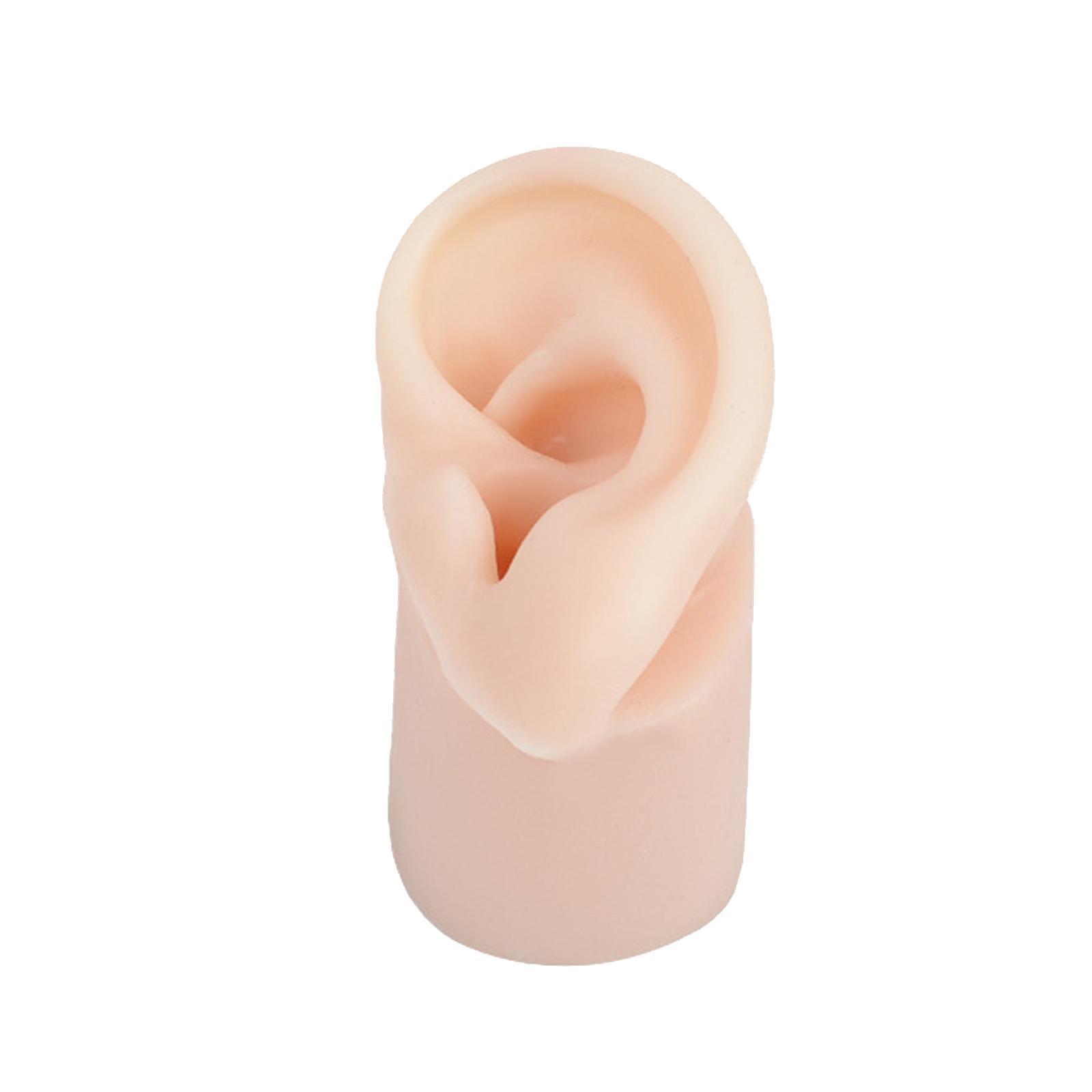Soft Silicone Ear Model Fake Ear learning Tools Delicate Texture