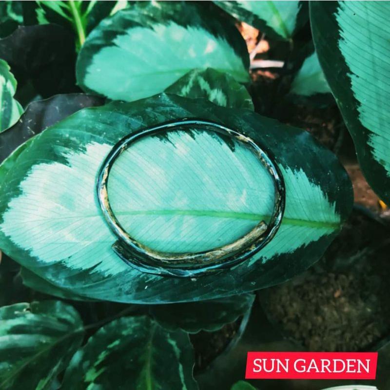 Vòng tay san hô đen cá tính unisex