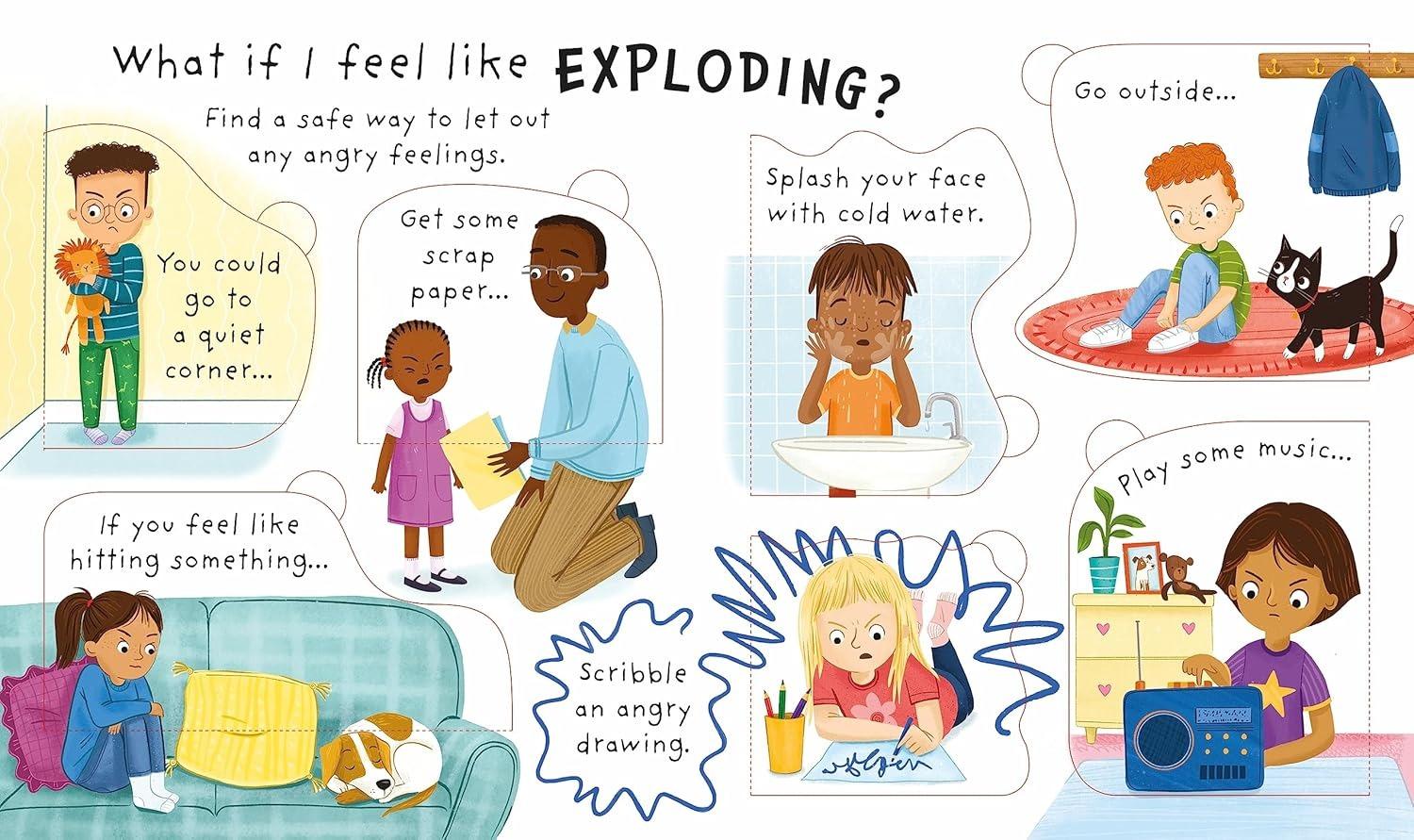 Sách ngoại văn: Why Do I (Sometimes) Feel Angry?