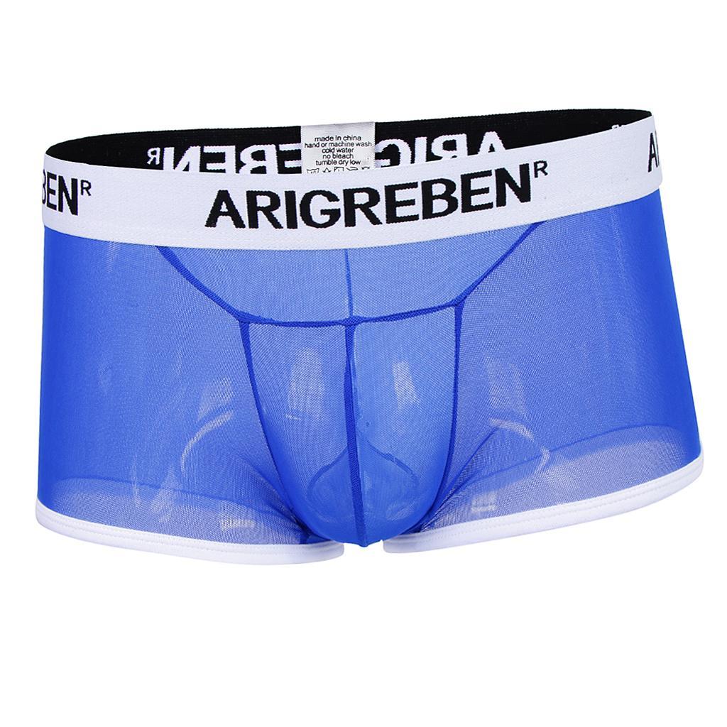 Men Mesh Underwear Thong Bikini Briefs Knickers Soft Sleepwear Swimsuit - Blue, L