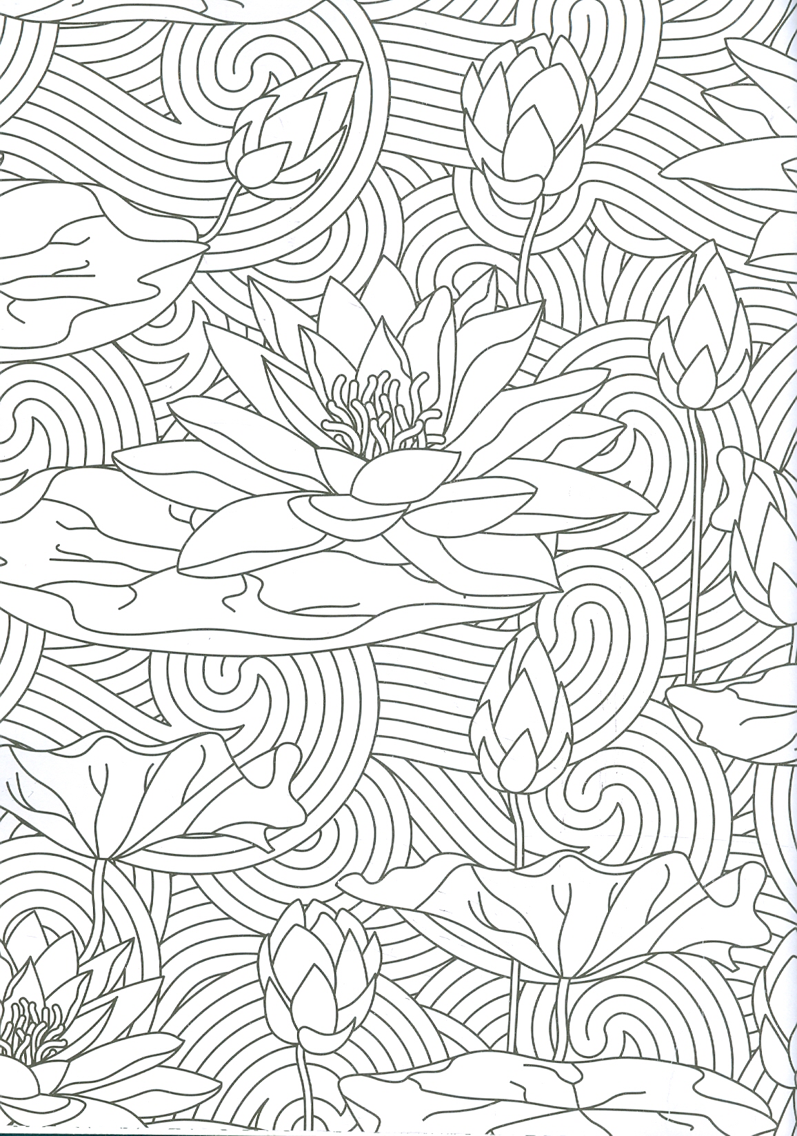 Flowers - Adults Colouring Book (Sách Tô Màu Dành Cho Người Lớn: Những Bông Hoa)