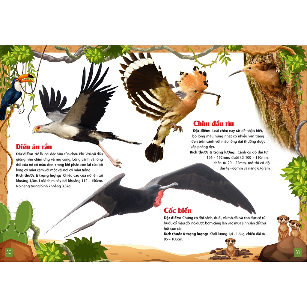 Khám Phá Động Vật 5 Châu Châu Phi -