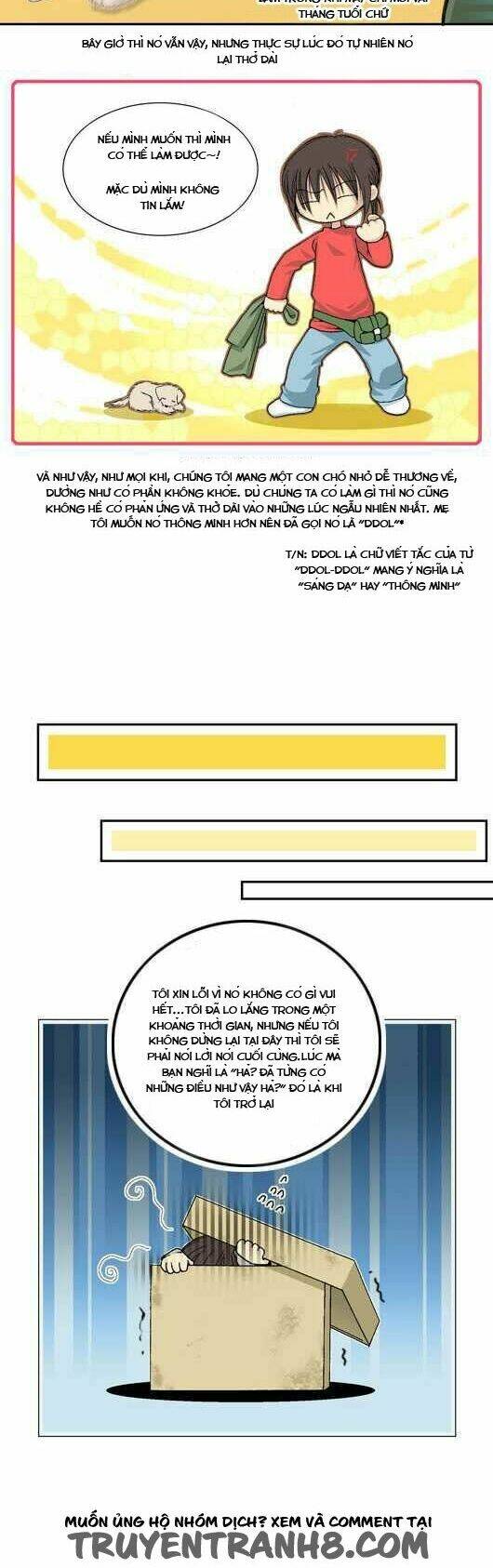 pet diary chapter 15.2 6