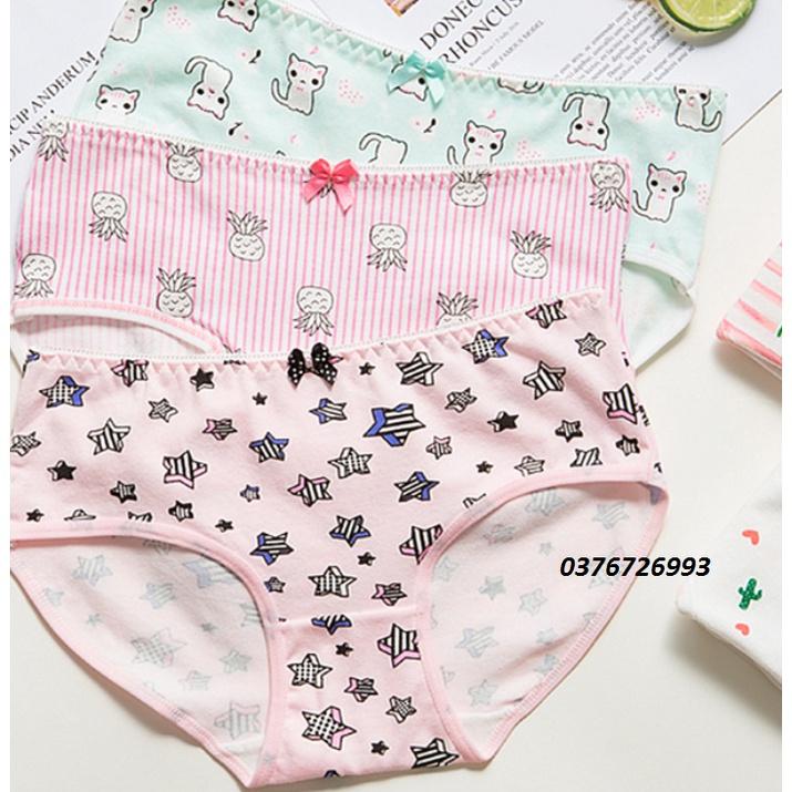 Quần Lót Nữ Cotton Kháng Khuẩn Hình Trái Cây Thời Trang Ngang Eo . Hàng Loại Đẹp.