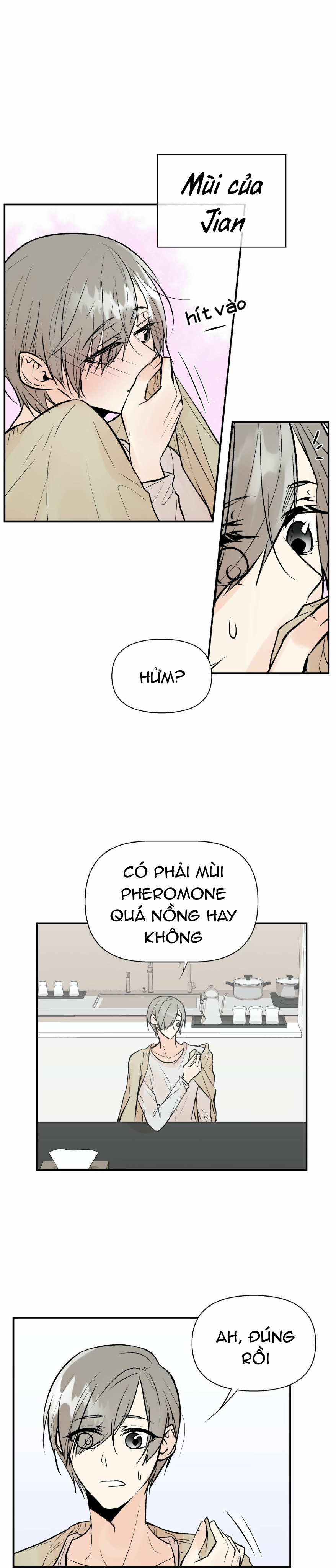 trú ẩn - haven chapter 13 18