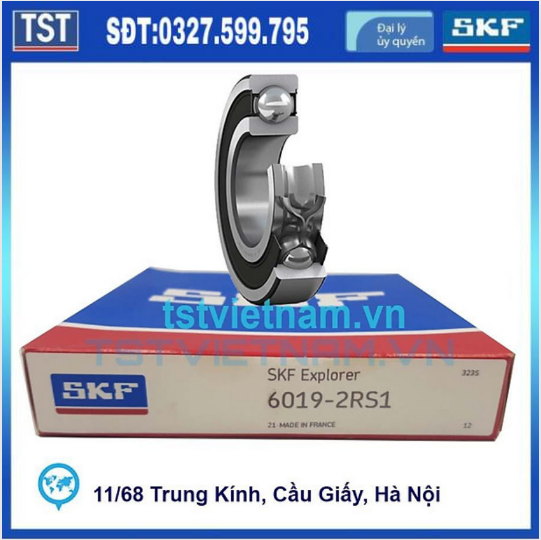 Vòng bi bạc đạn SKF 6019-2RS1