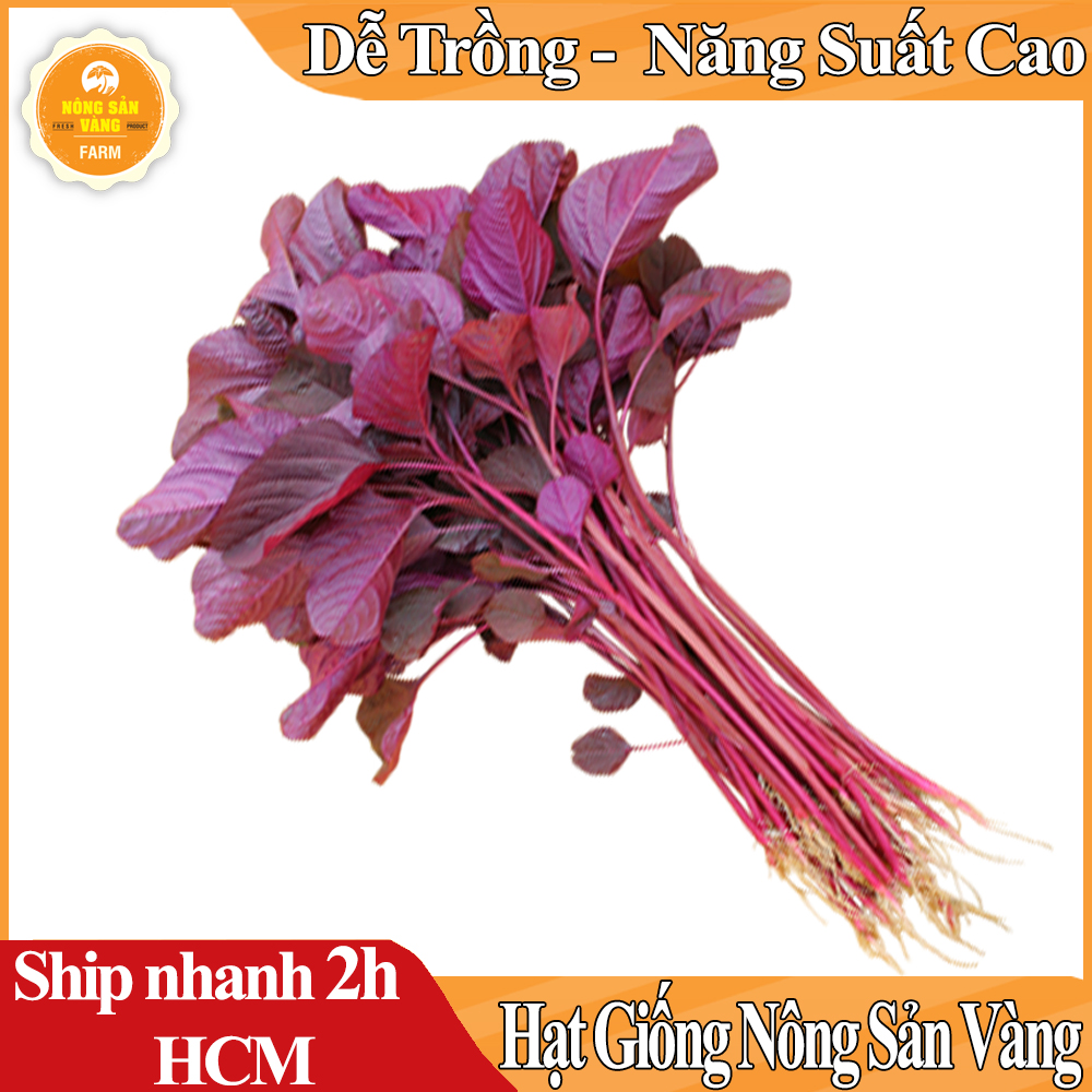 Hạt giống Rau Dền Đỏ, Tỉ Lệ Nảy Mầm Cao, Sinh Trưởng Và Phát Triển Khỏe, Năng Suất Cao - Nông Sản Vàng