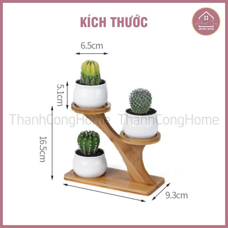 Kệ Gỗ Trang Trí Decor Xinh, Kệ Để Bàn Đặt Chậu Sứ MINI Xương Rồng, Sen Đá, Để Chai Lọ