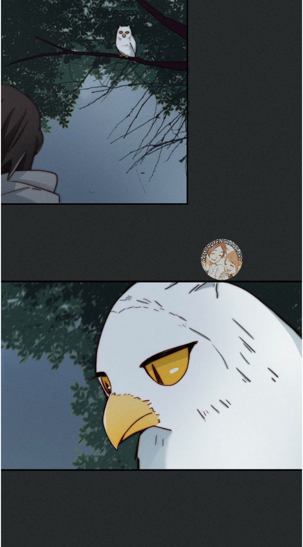 bí mật bóng đêm chapter 8.3 8