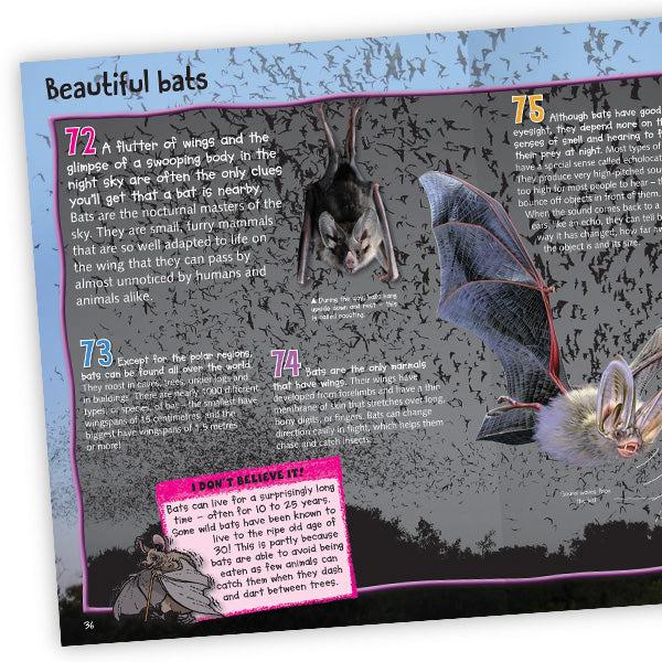 Sách ngoại văn: 100 Facts Nocturnal Animals