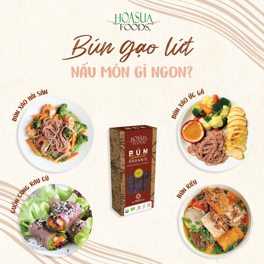 Bún gạo lứt hữu cơ HOA SUA FOODS 250g - dai, ngon, dinh dưỡng cho người ăn kiêng, ăn chay, eatclean