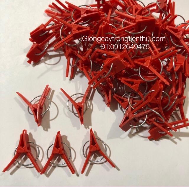 KẸP GHÉP CÂY GIỐNG CHANH DÂY nhập khẩu 500gr