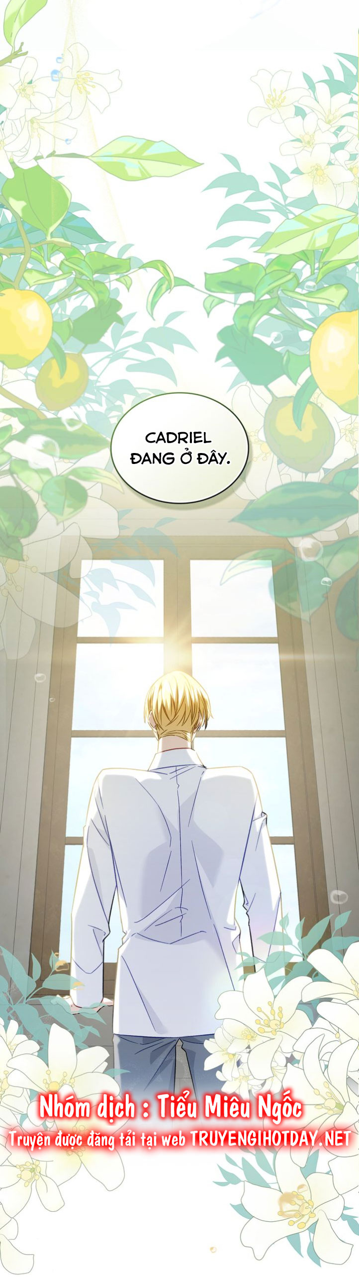 hải tặc thượng lưu chapter 47 64