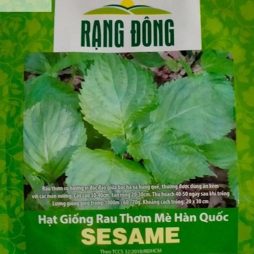 Hạt Giống Rau Thơm Mè (Lá Mè Vừng) Hàn Quốc- Trồng Hạt Giống Rau Củ Quả, Hoa Hồng Bằng Đất Sạch, Xơ Dừa, Phân Bón Hữu Cơ