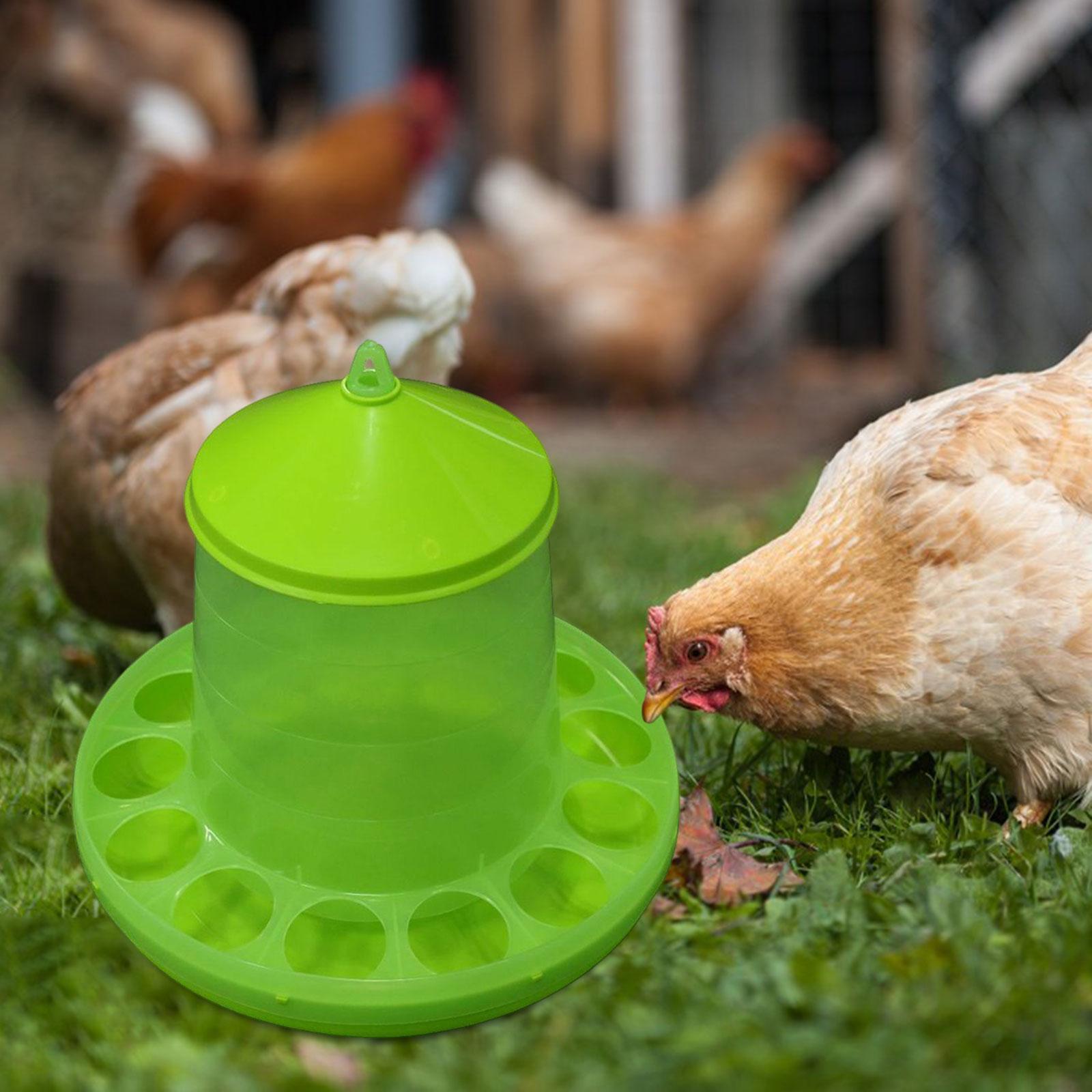 Chicken Feeder with Feeding Holes Hanging feed Dispenser Visible for Duck