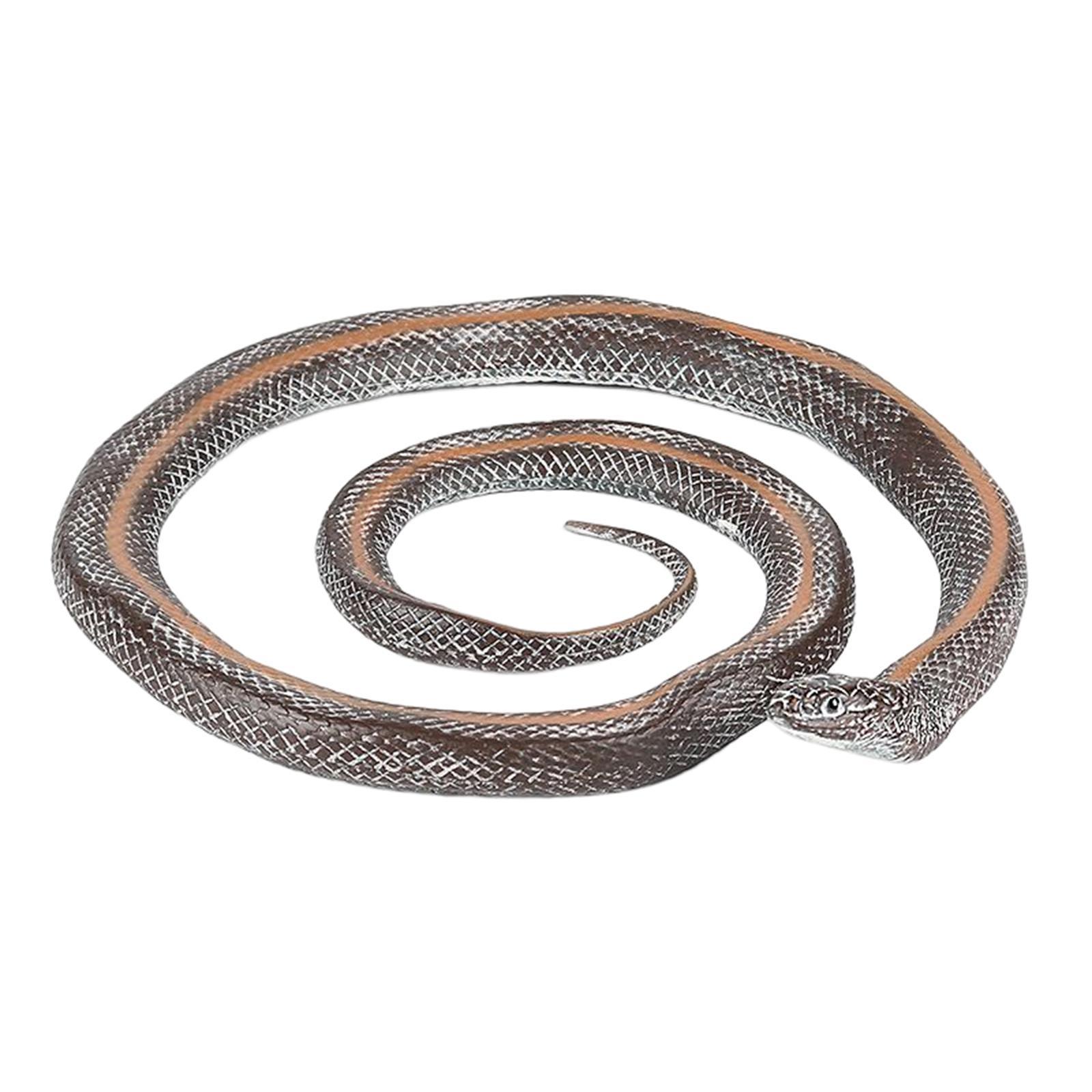 Simulation Fake  Photo Props Educational Durable Statue 17cm for Home