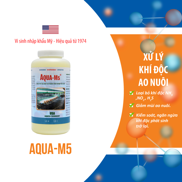 AQUA M5 Vi sinh xử lý khí độc trong ao nuôi thủy sản - Chai 1 lít