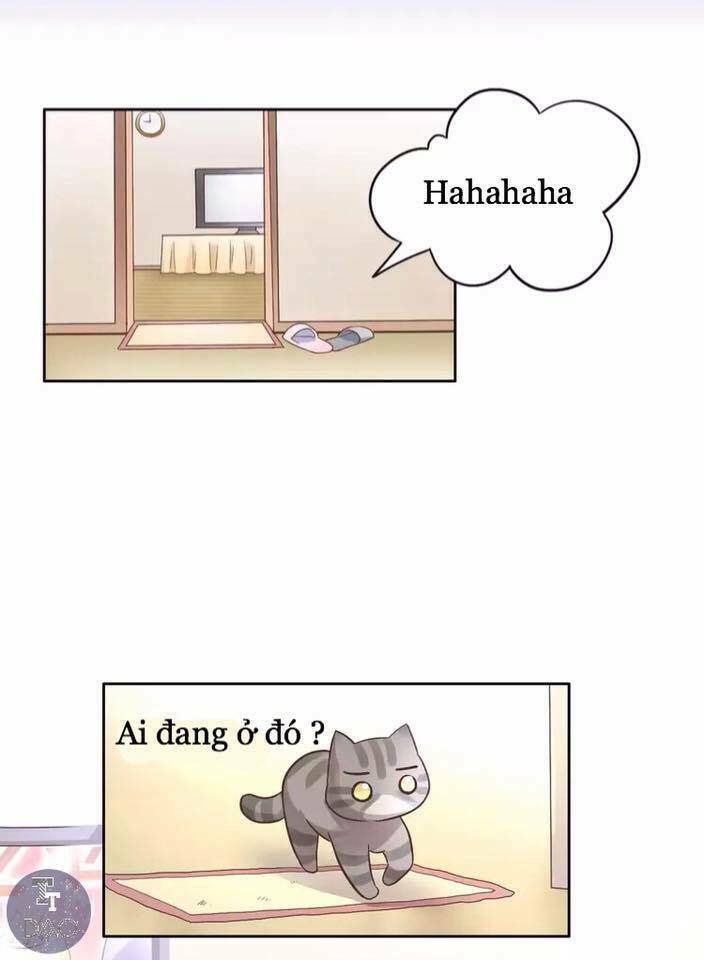 thị hoang chi thần chapter 19 30