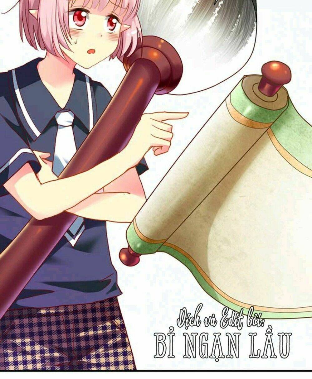 động vật nhỏ thật đáng yêu chapter 3 4