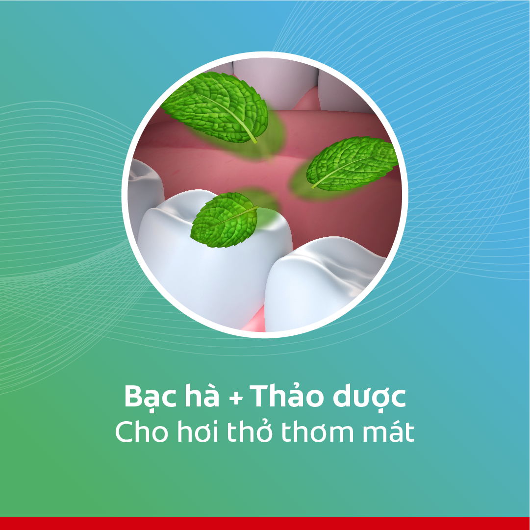 Bộ 3 Kem Đánh Răng Colgate Herbal Salt Muối Thảo Dược 225g/tuýp x 3