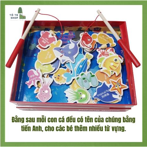 Bộ câu cá nam châm 32 con bằng gỗ, vừa chơi vừa học từ vựng tiếng Anh thông qua tên các loài cá.