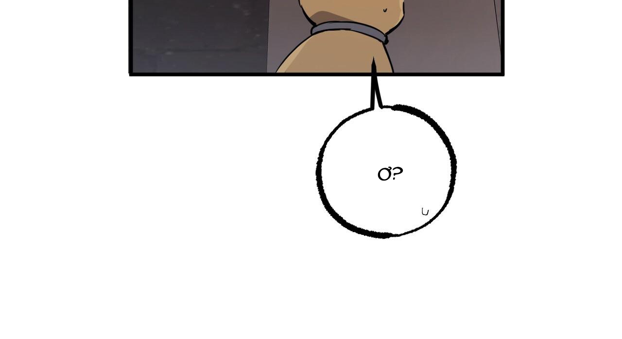 đàn thỏ của habibi chapter 47 284