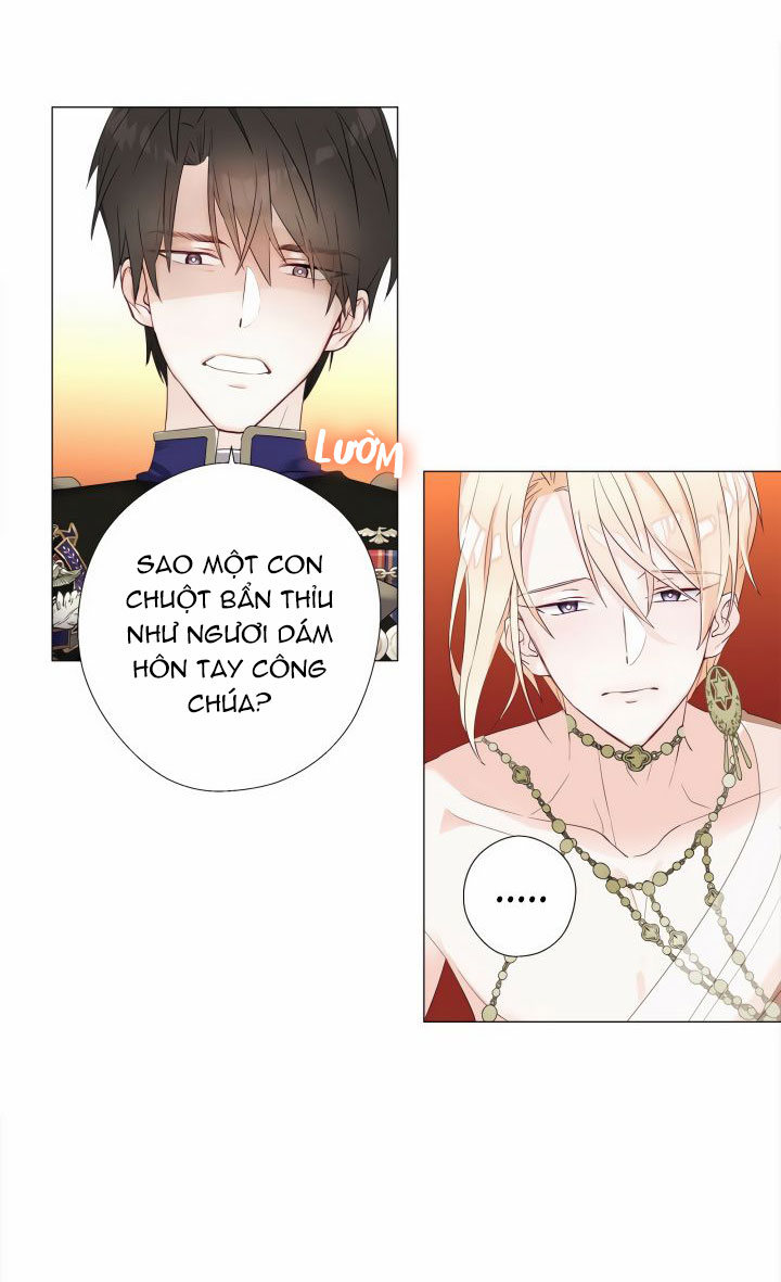 kế hoạch chọn papa của công chúa ._. chapter 4 71