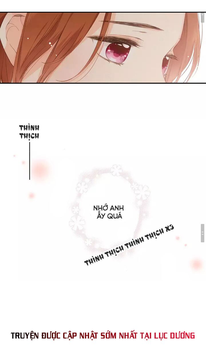 Tình yêu là màu hoa anh thảo chapter 33.1 13