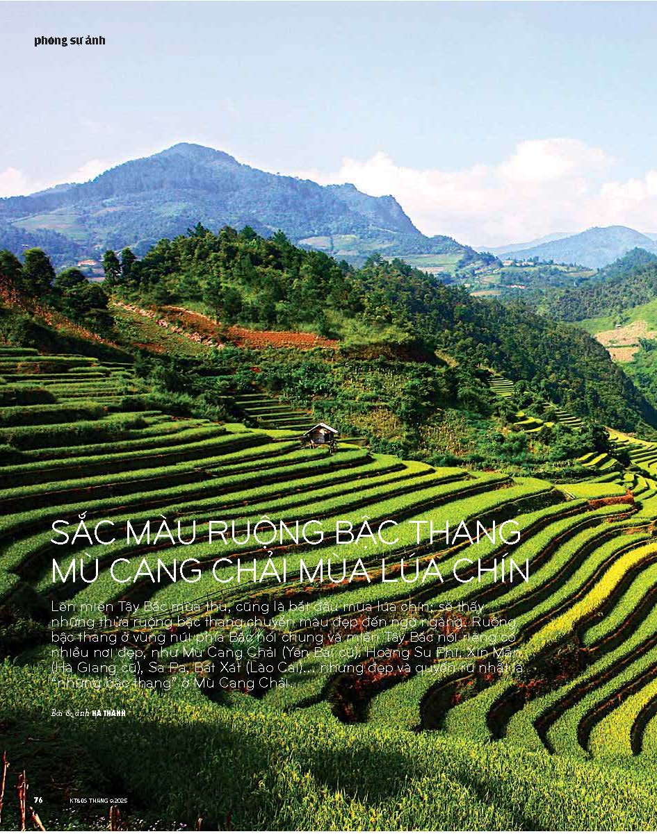 Tạp chí Kiến Trúc và Đời Sống số 231 (Tháng 9-2025)_ Mua thiết kế có sẵn