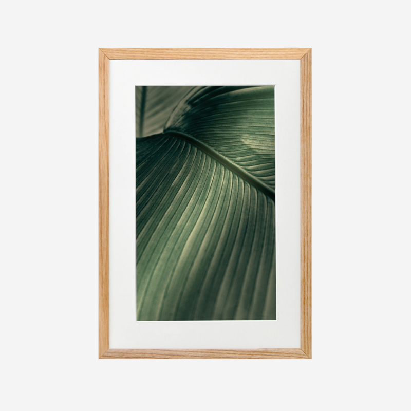 Tranh treo tường khung kính gỗ sồi treo tường cao cấp "Leave"21×30 cm