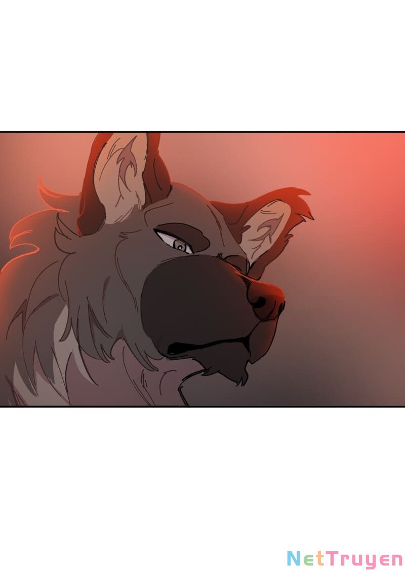 lumine - cội nguồn ánh sáng chapter 107 2