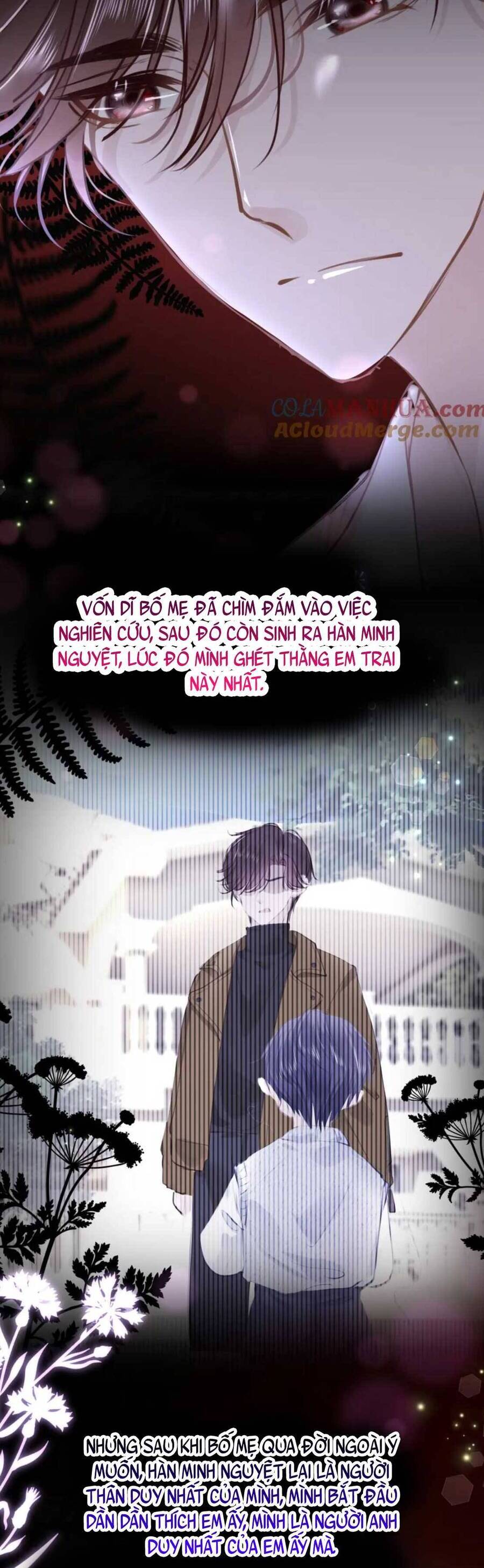 bắt đầu hủy hôn để công lược vương gia chapter 91 31