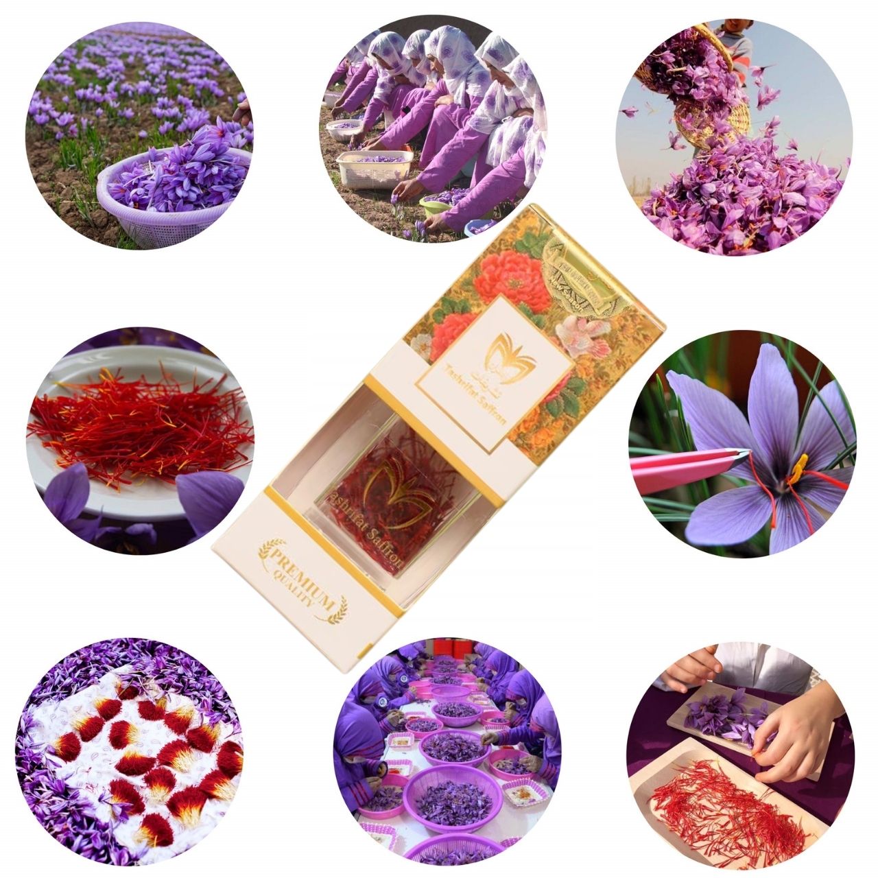 Nhụy hoa nghệ tây Tashrifat Saffron Premium Negin Iran chống lão hóa, làm sáng da,Tăng đề kháng, giảm stress, cải thiện giấc ngủ - Massel Official