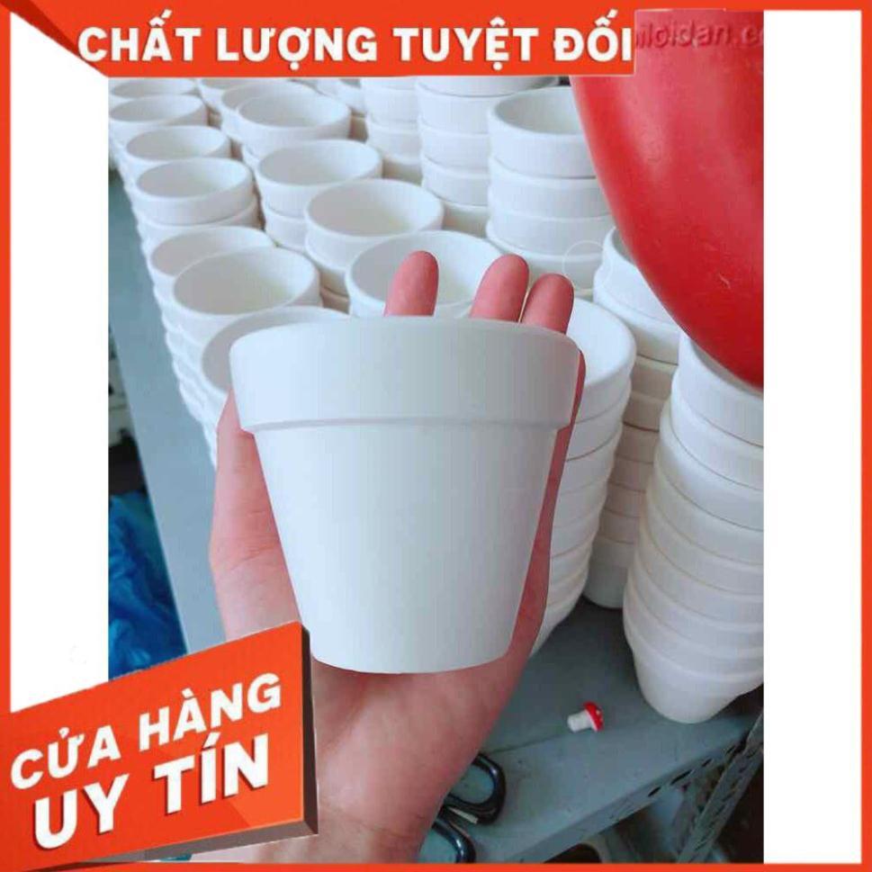 Chậu đất nung trồng cây Nhiều Người Mua