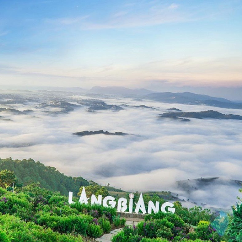 Tour Cần Thơ Đà Lạt 3 ngày 2 đêm – Check-in Đà Lạt mộng mơ