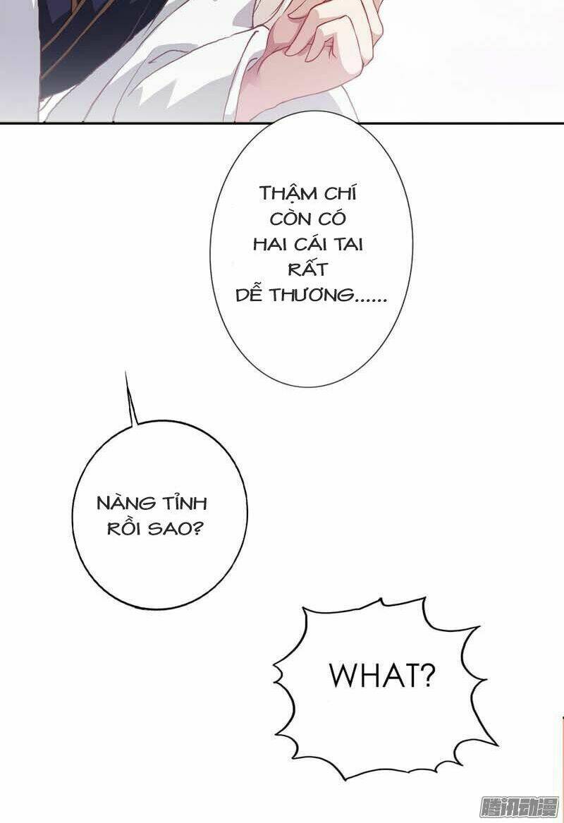 hồ đế độc yêu chapter 3 16