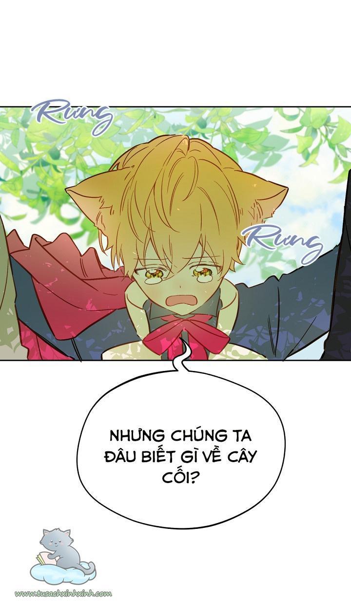 trang trại hạt dẻ cạnh hoàng cung chapter 15 56