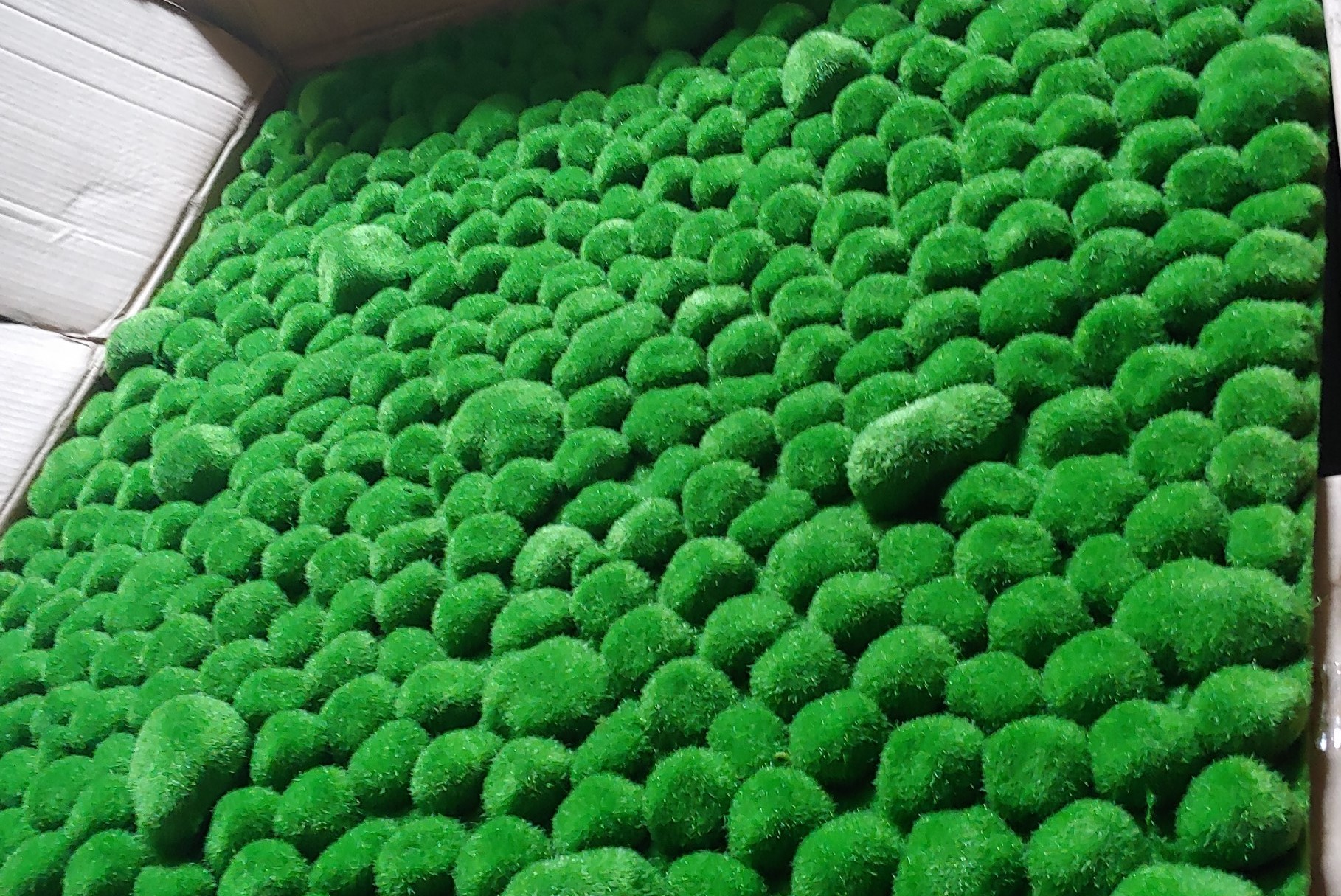 Thảm rêu xanh dán tường, thảm cỏ rêu gỗ nhân tạo dán tường, trang trí - Tường cây xanh decor