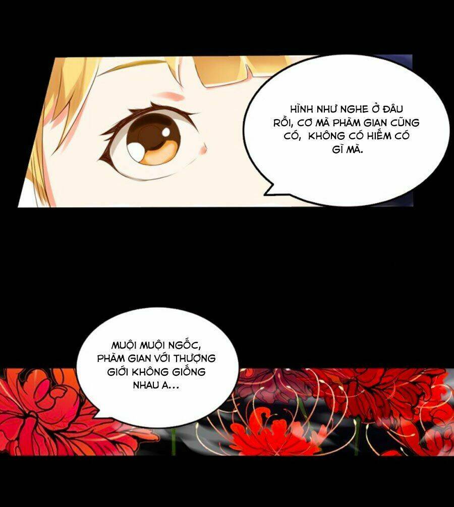 dẫn hồn khúc chapter 10.2 14