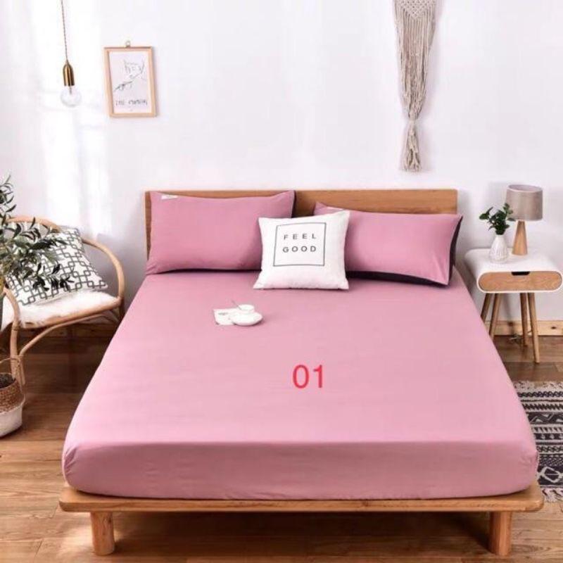 ️️ RẺ VÔ ĐỊCH ️️Bộ Ga Gối Cotton Tici Loại 1
