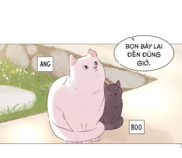 tình yêu như một giấc mộng hè chapter 2 33