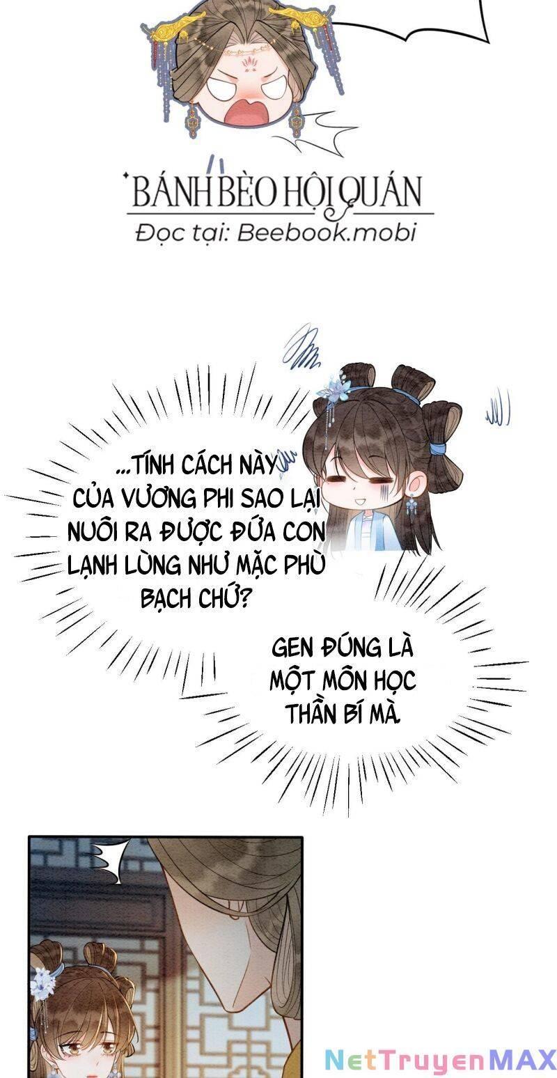 sau khi nàng bị đánh chết, các anh trai đều hối hận! chapter 7 17