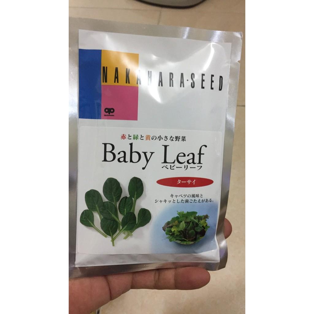 Hạt giống cải HOA HỒNG TASOI BABY LEAF - Nhật Bản