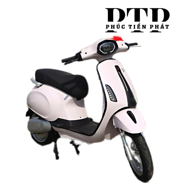 Xe Máy Điện TAILG R52