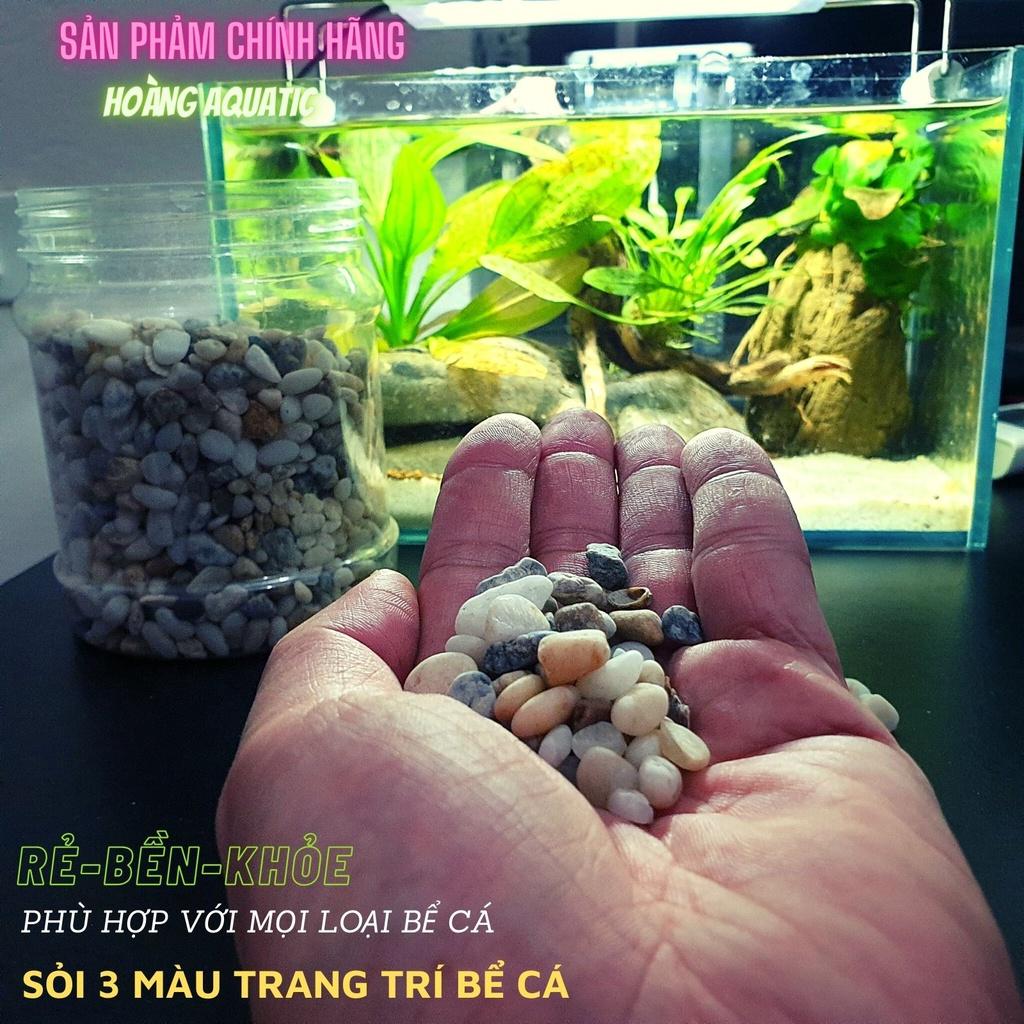 Sỏi 3 Màu Trang Trí Bể Cá, Tiểu Cảnh, Giá Rẻ (100G)