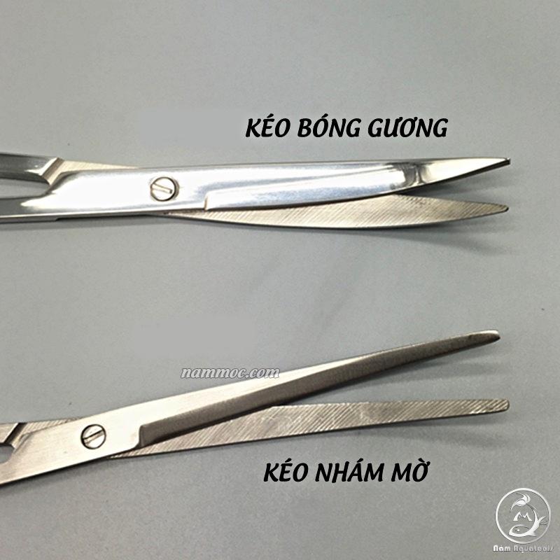 Kéo Thuỷ Sinh Kéo Mũi Cong Dài 25cm Kéo Chuyên Dụng Cho Bể Thuỷ Sinh, Bể Cá Cảnh