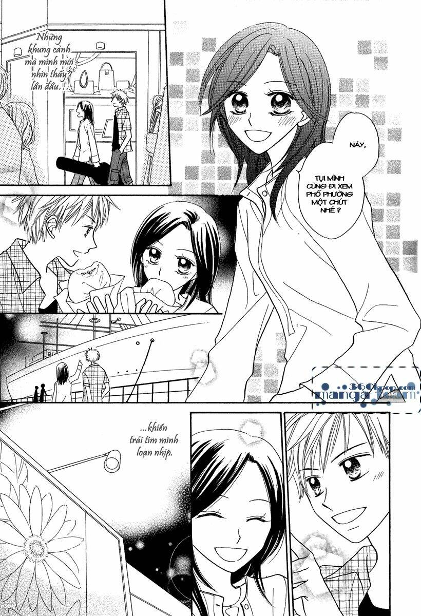 khúc hát hoa mặt trời chapter 2 12