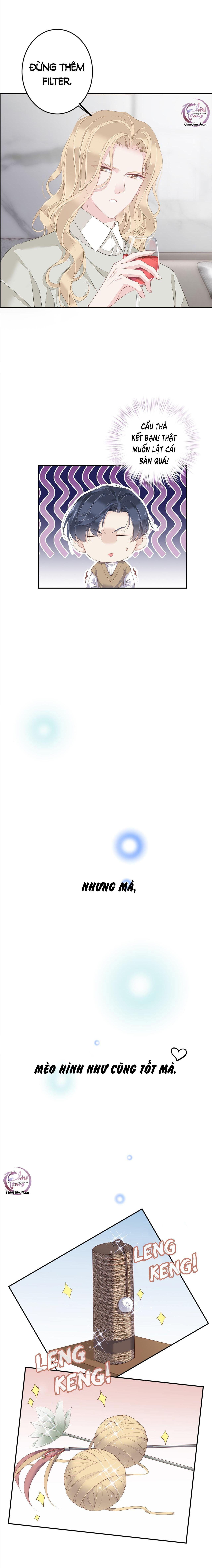 cuộc mai mối vượt giống loài chapter 1 6