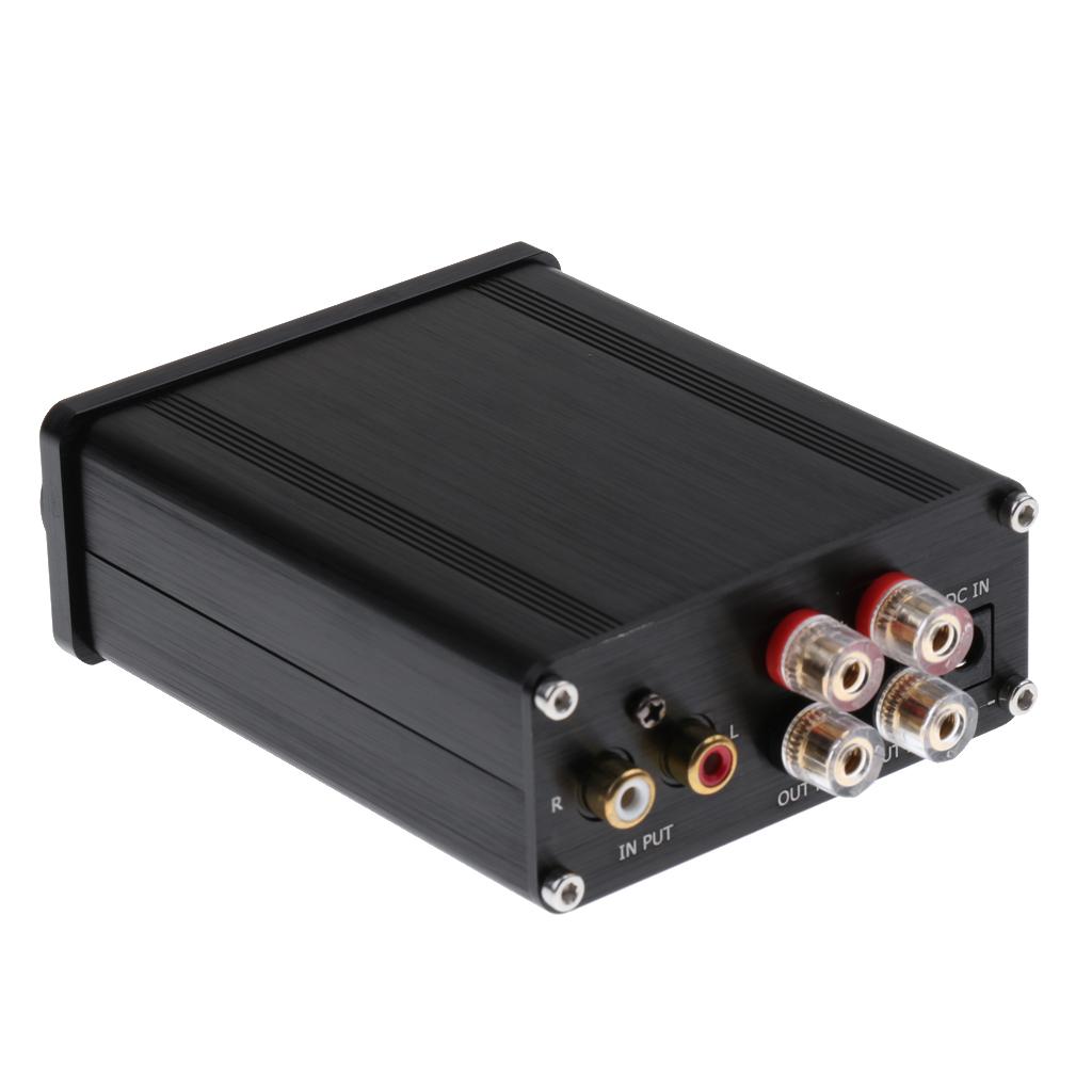Sunnimix TPA3116 Âm Thanh Kỹ Thuật Số Khuếch Đại Công Suất Hifi Stereo Gia Đình AMP 2*50W Class-D