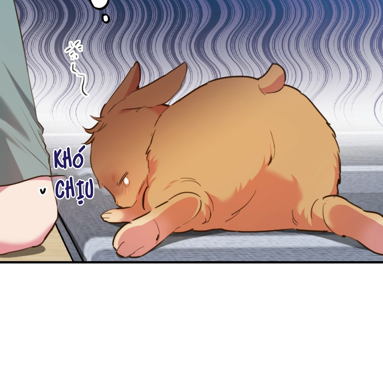 những chú thỏ của hapypy chapter 1 63